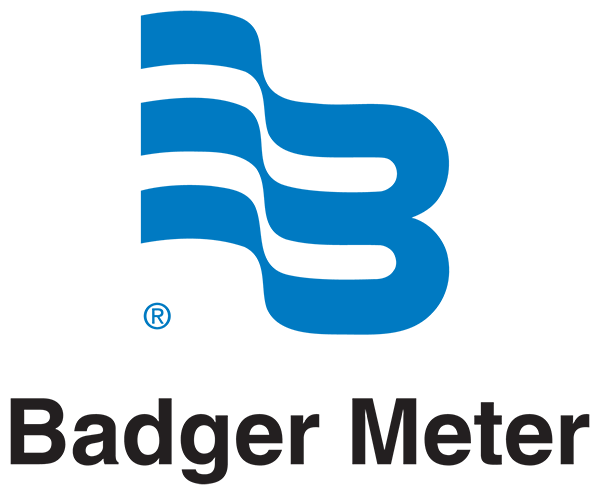 Original Image: Badger Meter